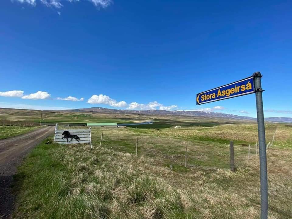Stora-Asgeirsa Horse Farm Stay Vithigerthi المظهر الخارجي الصورة