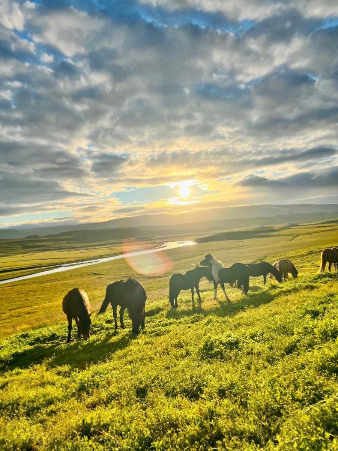 Stora-Asgeirsa Horse Farm Stay Vithigerthi المظهر الخارجي الصورة