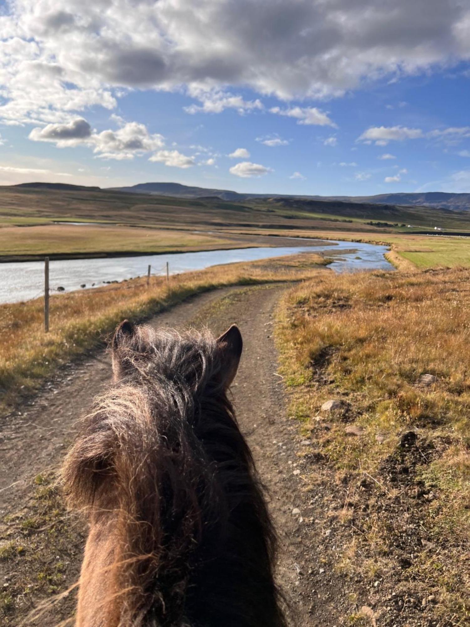 Stora-Asgeirsa Horse Farm Stay Vithigerthi المظهر الخارجي الصورة