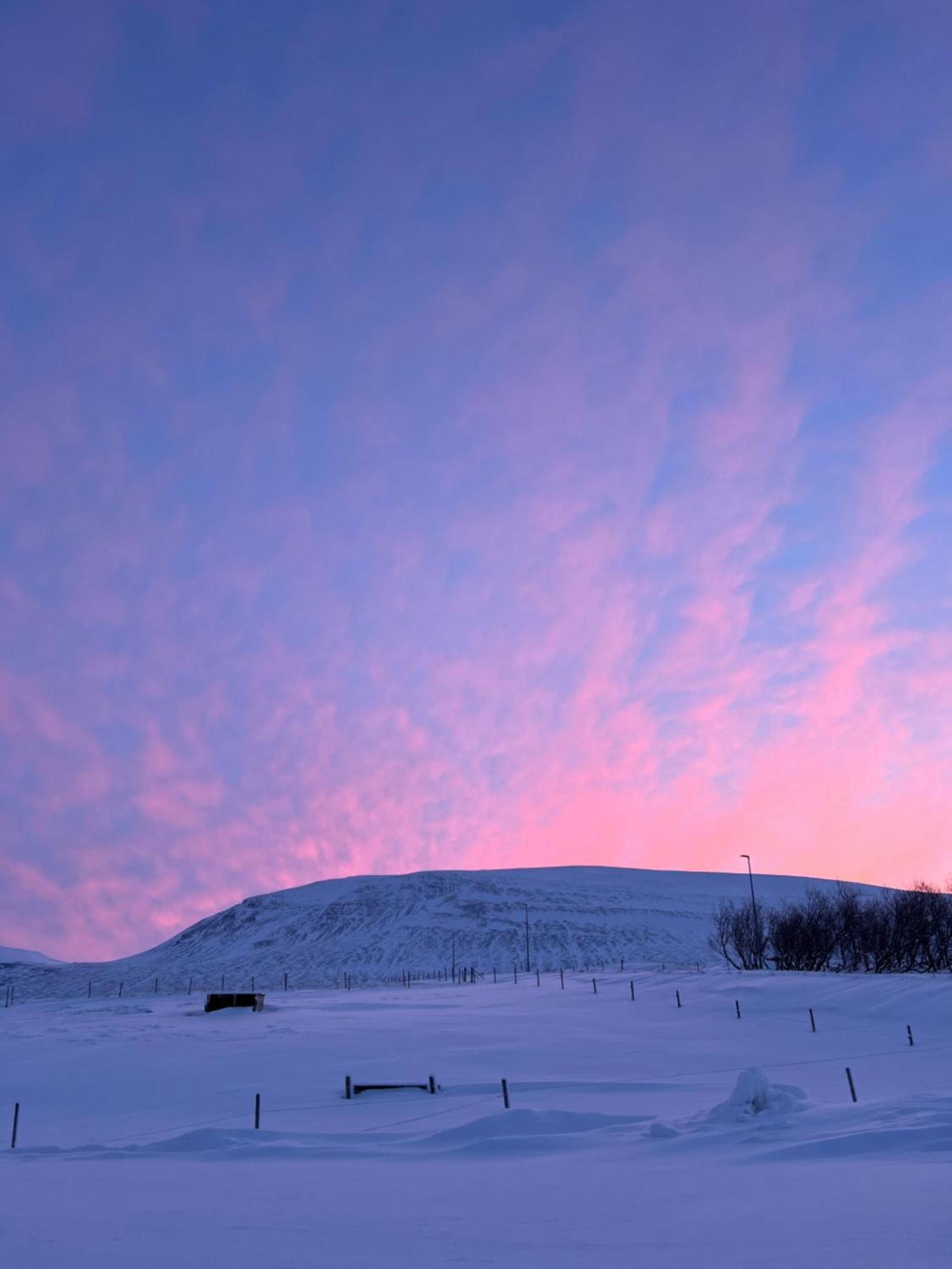 Stora-Asgeirsa Horse Farm Stay Vithigerthi المظهر الخارجي الصورة
