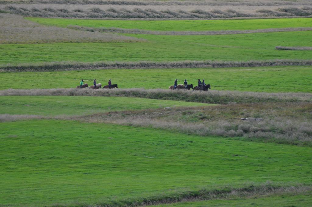 Stora-Asgeirsa Horse Farm Stay Vithigerthi المظهر الخارجي الصورة